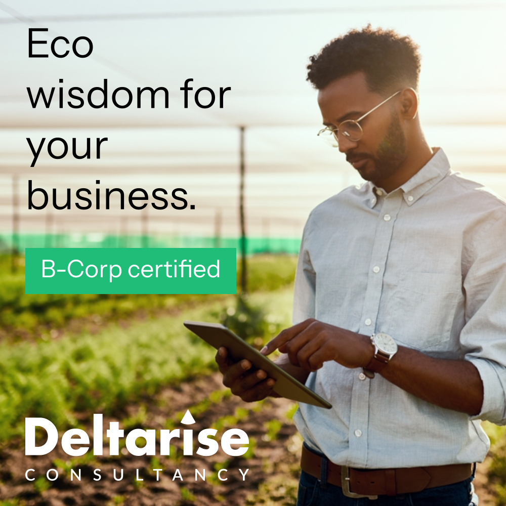 An action ad for a consultant