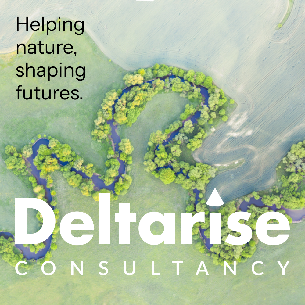 An awareness ad for a consultant-developer